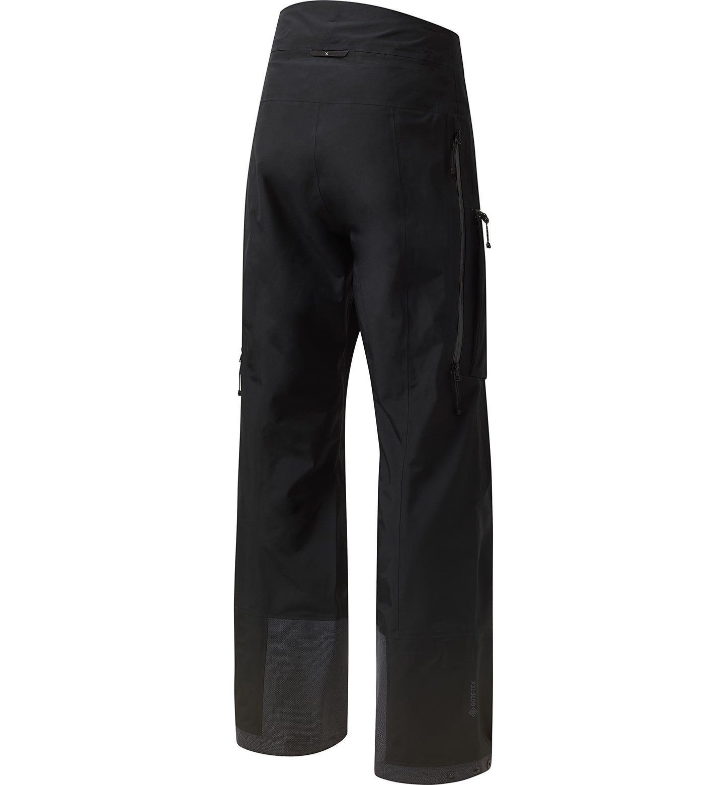 Vassi GTX II Pant Men