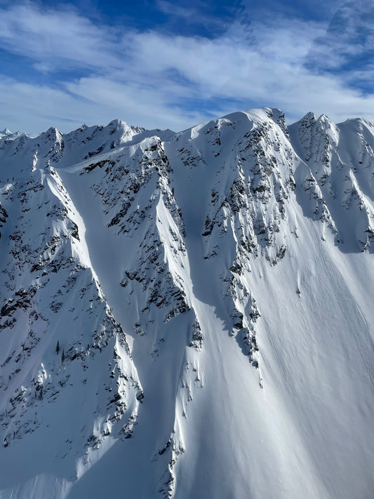 佐々木悠のシーズン  フィルムレーベル「MSP」と撮影した1ヶ月