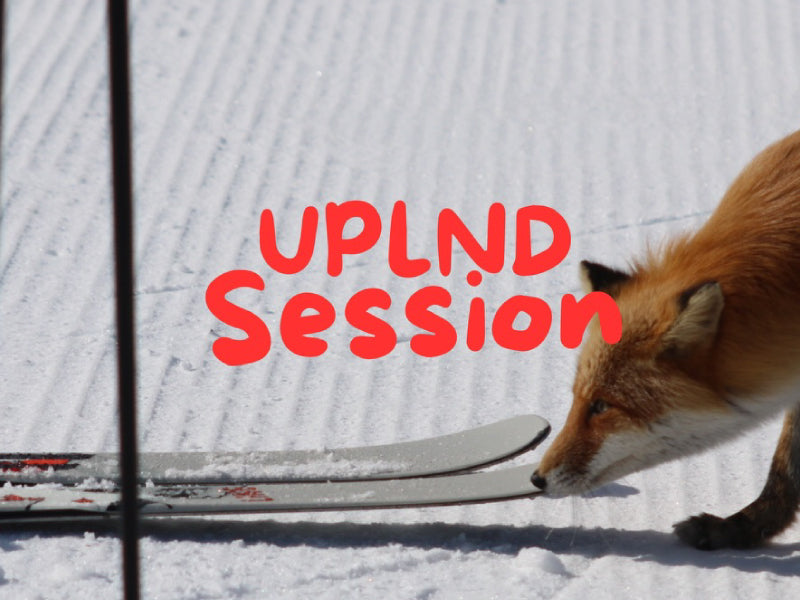 UPLND SESSION in キロロ 募集