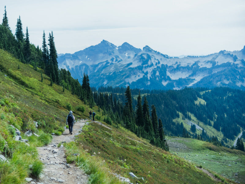 アメリカ西海岸 ノースカスケード旅行記｜ホグロフス 秋冬アイテム レビュー【後半】
