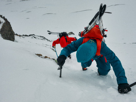 Vassiシリーズ　video