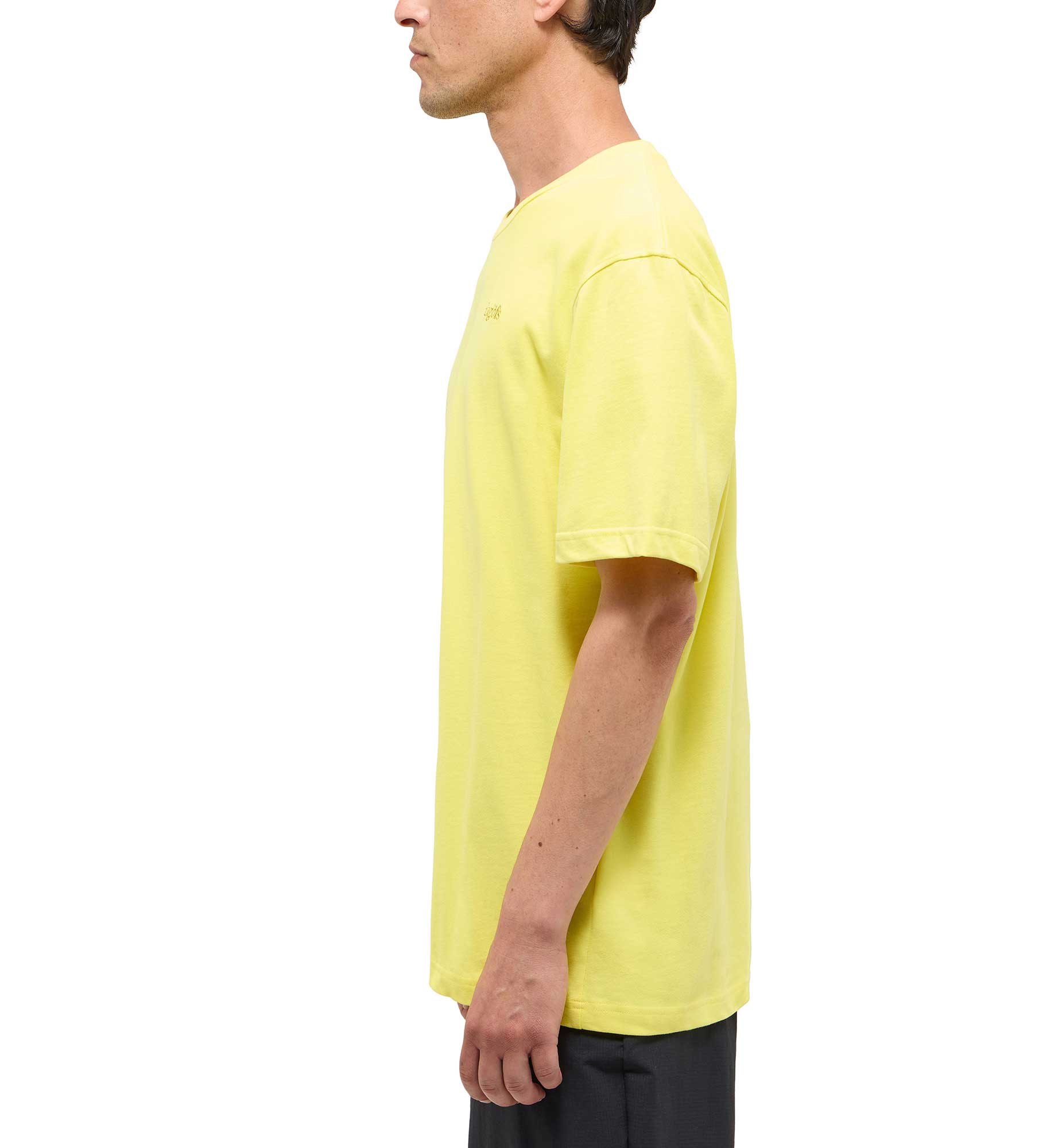 Haglofs Tee Men