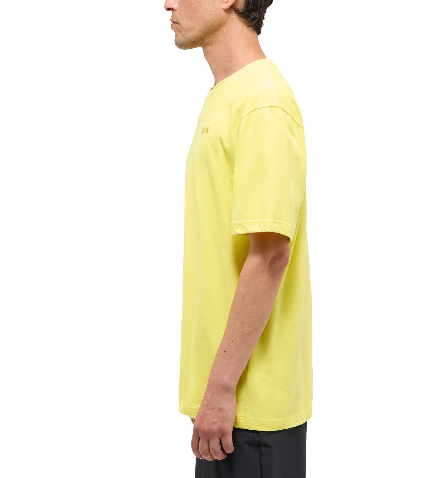 Haglofs Tee Men