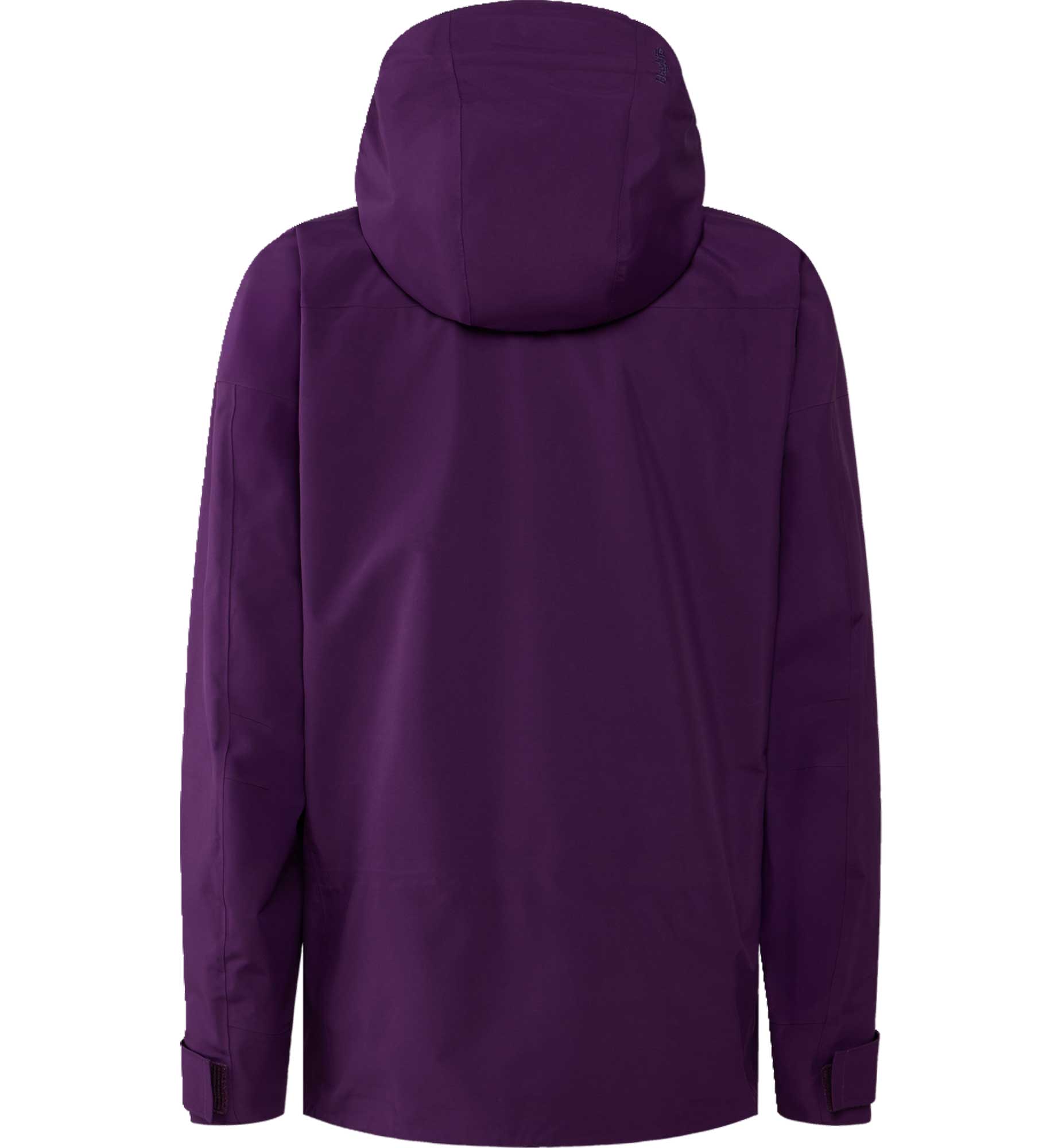 Vassi GTX II Jacket Men